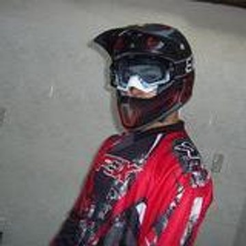 Ligeron Steve