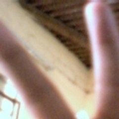 solopatips123