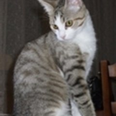 Marie-claudine Zoks
