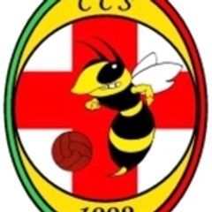 futsalcarqueirannecs