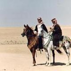 elmarokino