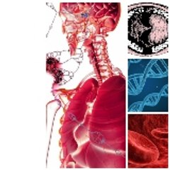 DLs Health