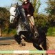 morgane-jessy
