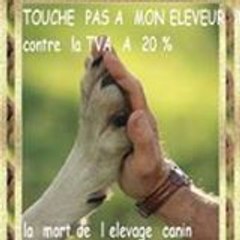 la-tomme