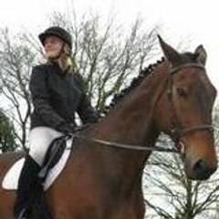 LoveHorse95