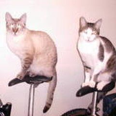 Mikey & Minnie