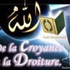 abou moussa