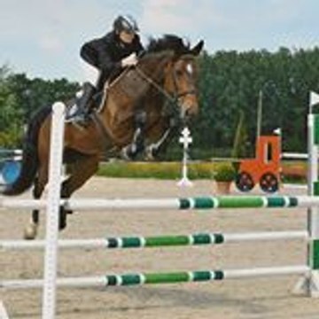 aurelie4464