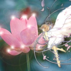 Dream-of-Angel