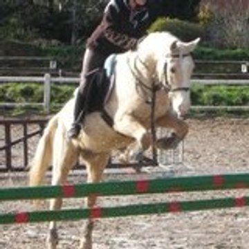 idalgo-palomino