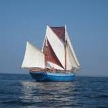roro5976