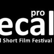 FESTIVAL MECAL BARCELONA