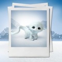 liloupuce80