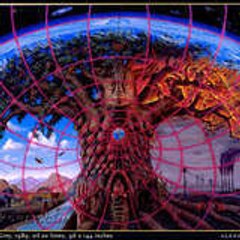 origin242