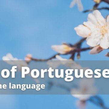 The Sounds of Portuguese