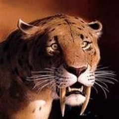 SmilodonPopulator