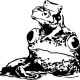 Grenouilles Studio Grenouille