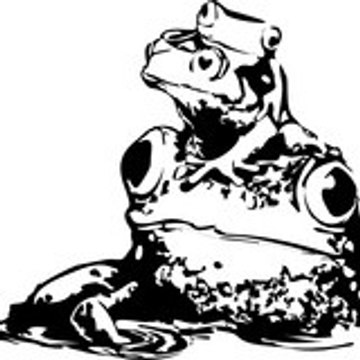 Grenouilles Studio Grenouille