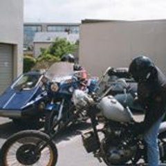 Nonos Gatinais