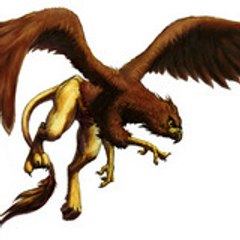 zalera56