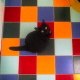 griffelechat