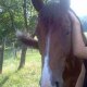 michou0363