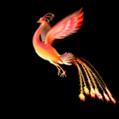 Phoenix Philms
