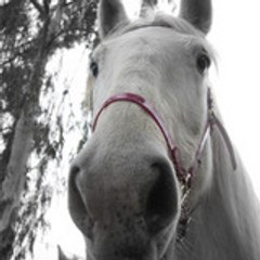 kikou tout le monde !!