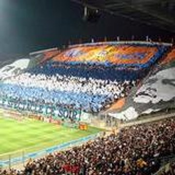 beluce38