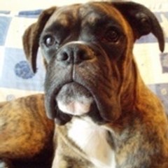 cassius07