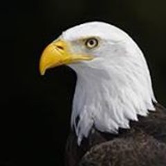 texan77