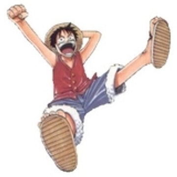 Luffy-08