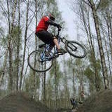 alpinestar