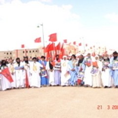 Ahmed Salem Amr Khaddad