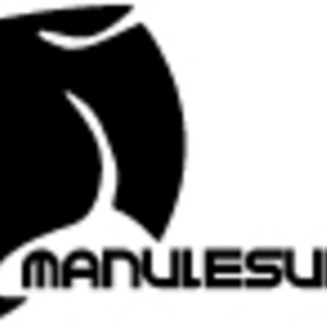 manulesurfeur