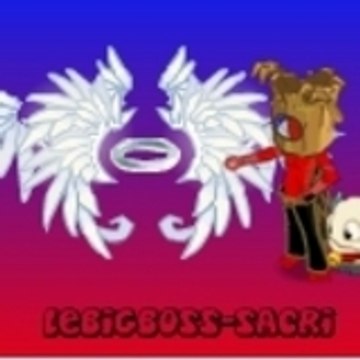 lelyonnaisdu51