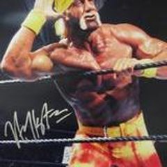 hulk hogan