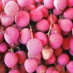 yanipel