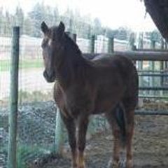 honorine