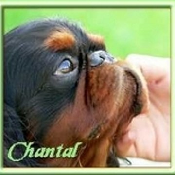 Chantal De La Rivieroise