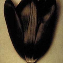 Julien de Saint-Preux