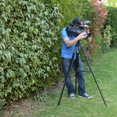 Alexandre Paulo Correia