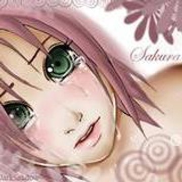 sakuralaboss