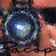 Francisco Puche Garcia