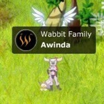 awinda