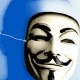 stefenpointdaily