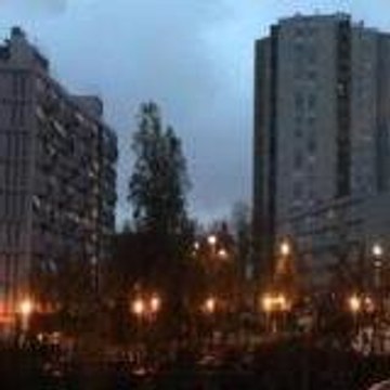 mafiaduvso