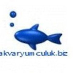 akvaryumculuk_biz