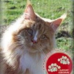 Coonsdebaguera Agnès