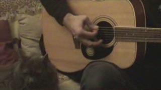 Soirée Guitare avec Benoit et le chat